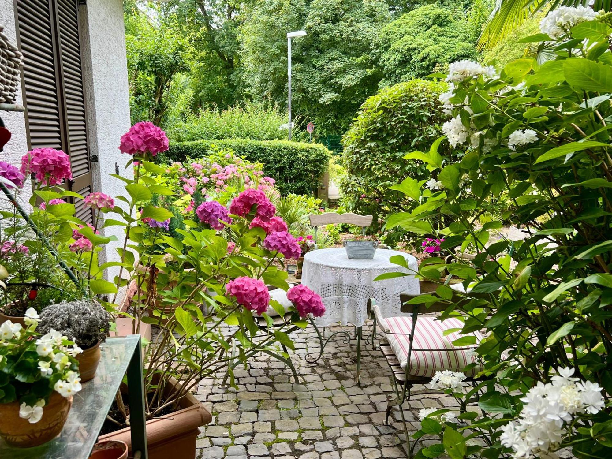 Einliegerwohnung In Einer Muehle Vor Den Toren Frankfurts, Ideal Fuer Messegaeste Oder Stop Over Dreieich Esterno foto