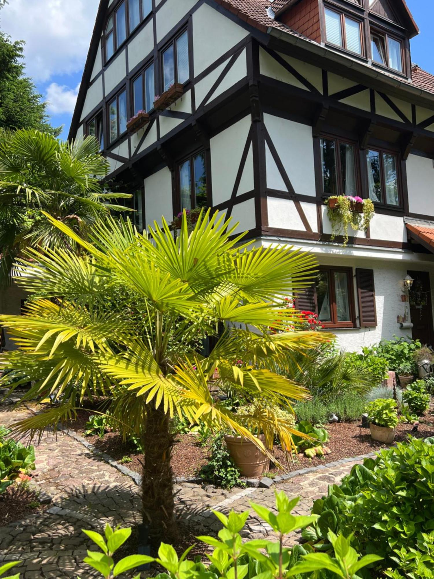 Einliegerwohnung In Einer Muehle Vor Den Toren Frankfurts, Ideal Fuer Messegaeste Oder Stop Over Dreieich Esterno foto